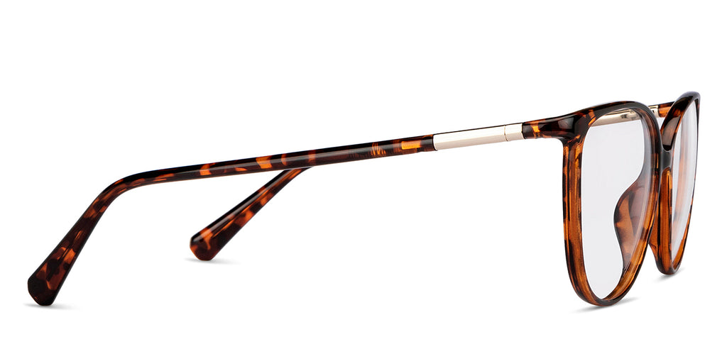 Cat Eye Eyeglasses-Frame Cat Eye--EG Cat Eye Eyeglasses-Frame Cat Eye--EG