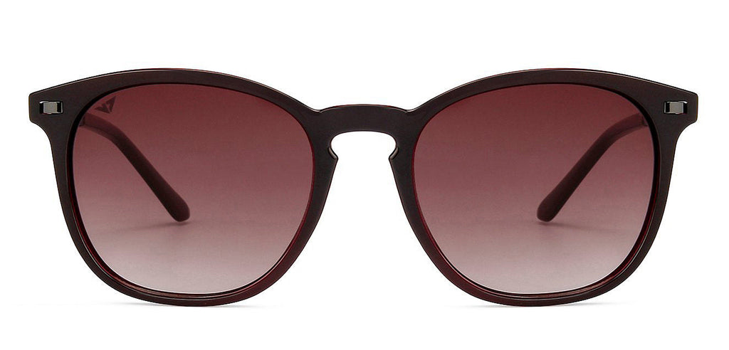 -Frame Wayfarer--SG -Frame Wayfarer--SG