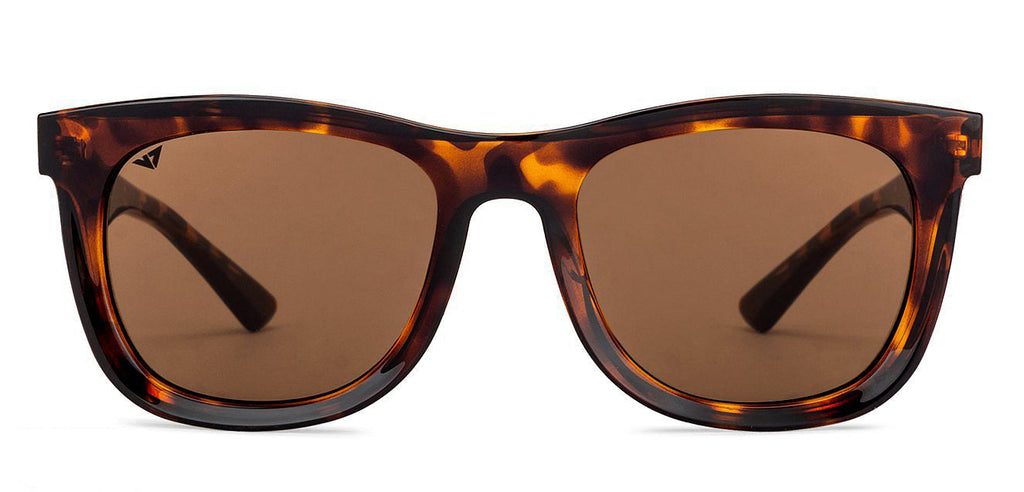 -Frame Wayfarer--SG -Frame Wayfarer--SG
