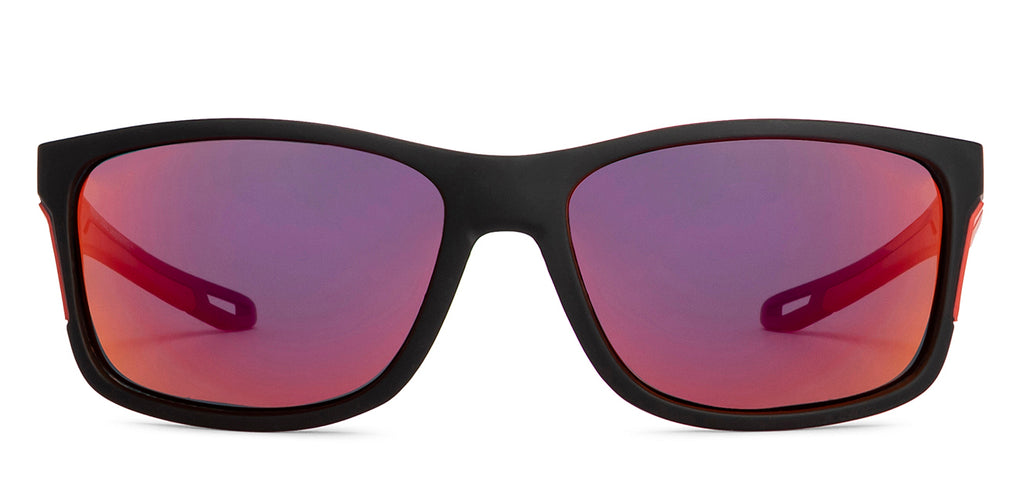 -Frame Wayfarer--SG -Frame Wayfarer--SG