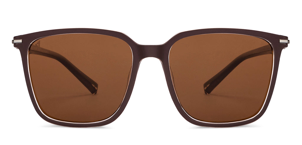 -Frame Wayfarer--SG -Frame Wayfarer--SG