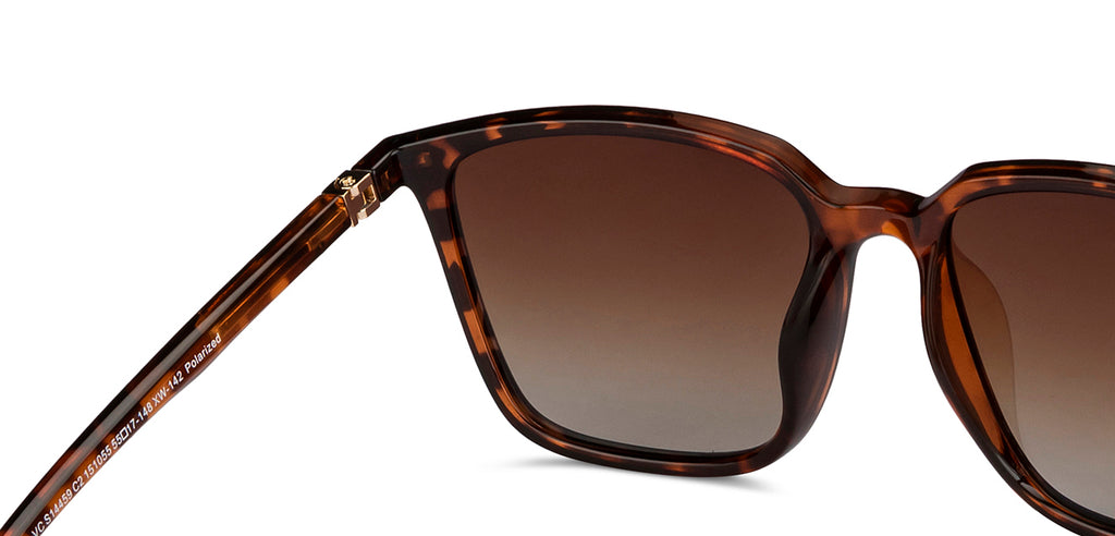 -Frame Wayfarer--SG -Frame Wayfarer--SG