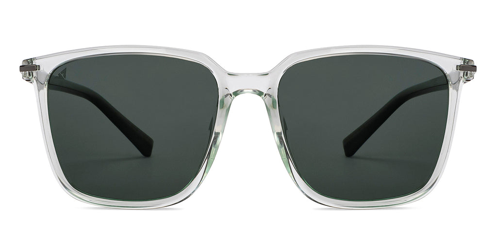 -Frame Wayfarer--SG -Frame Wayfarer--SG