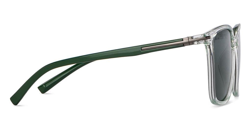 -Frame Wayfarer--SG -Frame Wayfarer--SG