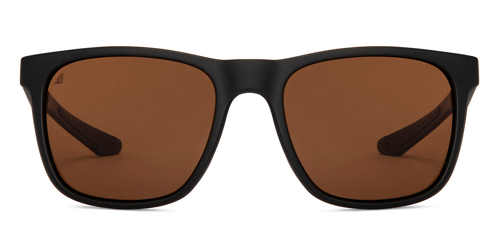 -Frame Wayfarer--SG -Frame Wayfarer--SG