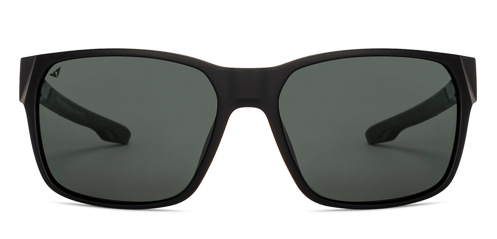 -Frame Wayfarer--SG -Frame Wayfarer--SG