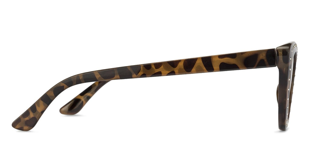 Cat Eye Sunglasses-Frame Cat Eye--SG Cat Eye Sunglasses-Frame Cat Eye--SG