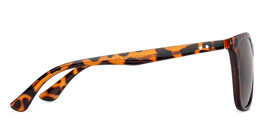 Wayfarer Sunglasses-Frame Wayfarer--SG Wayfarer Sunglasses-Frame Wayfarer--SG