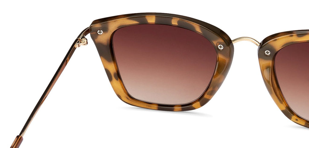 Square Sunglasses-Frame Square--SG Square Sunglasses-Frame Square--SG