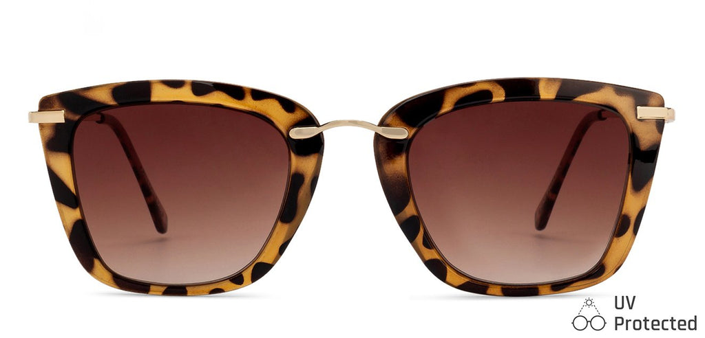 Square Sunglasses-Frame Square--SG Square Sunglasses-Frame Square--SG