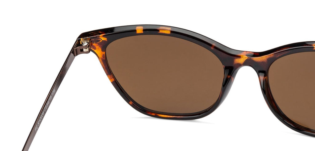 Cat Eye Sunglasses-Frame Cat Eye--SG Cat Eye Sunglasses-Frame Cat Eye--SG