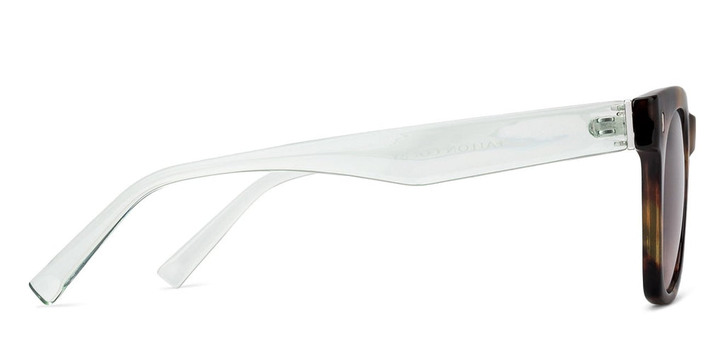 Wayfarer Sunglasses-Frame Wayfarer--SG Wayfarer Sunglasses-Frame Wayfarer--SG