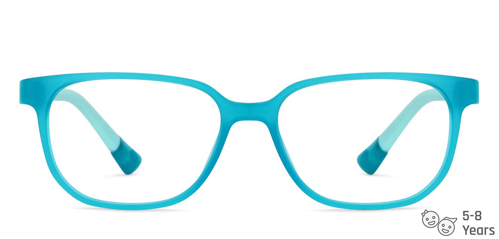 -Frame Wayfarer--EG -Frame Wayfarer--EG