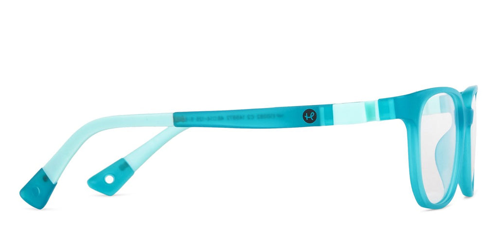 -Frame Wayfarer--EG -Frame Wayfarer--EG
