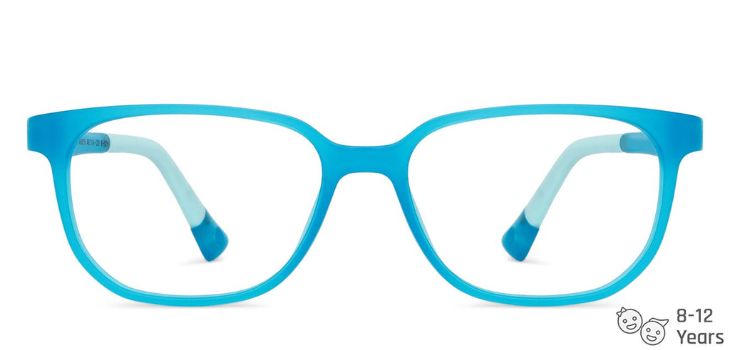 -Frame Wayfarer--EG -Frame Wayfarer--EG