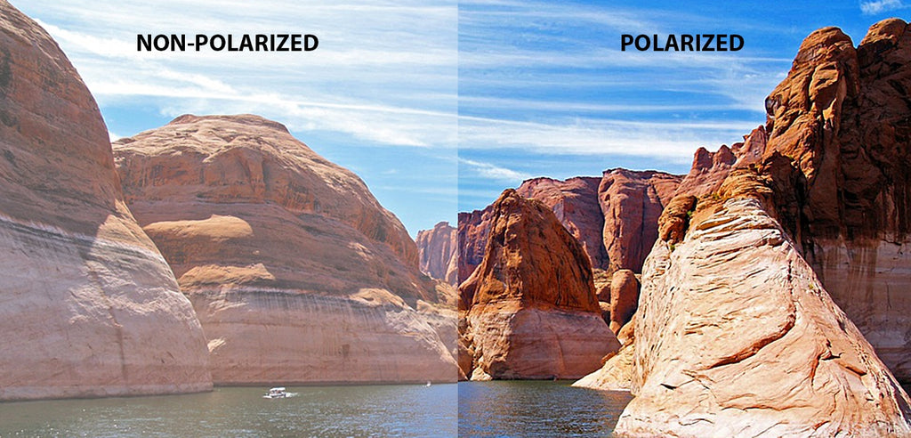 John Jacobs Sunglasses-Frame Square--SG John Jacobs Sunglasses-Frame Square--SG