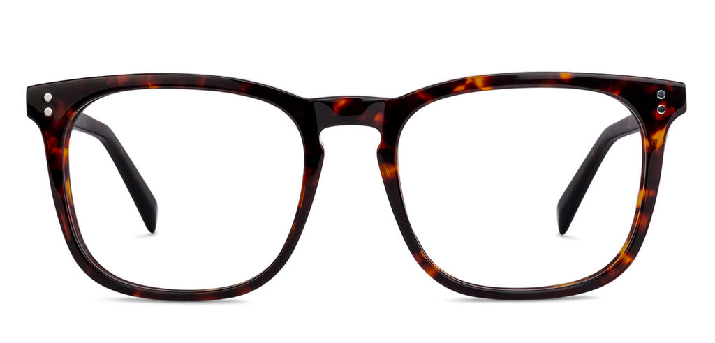 -Frame Wayfarer--EG -Frame Wayfarer--EG