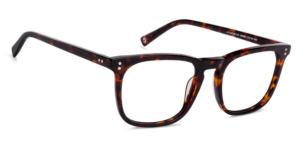 -Frame Wayfarer--EG -Frame Wayfarer--EG