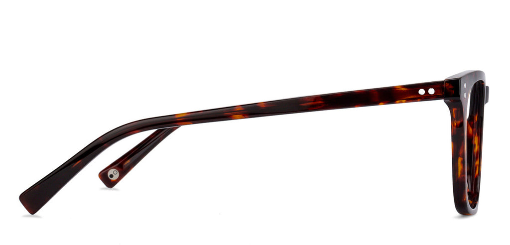 -Frame Wayfarer--EG -Frame Wayfarer--EG