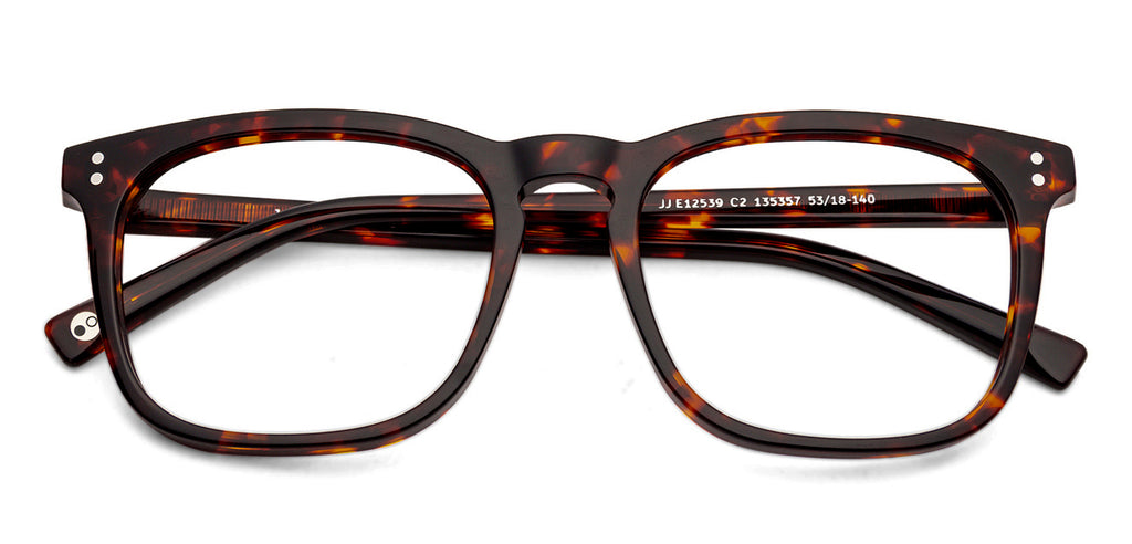 -Frame Wayfarer--EG -Frame Wayfarer--EG