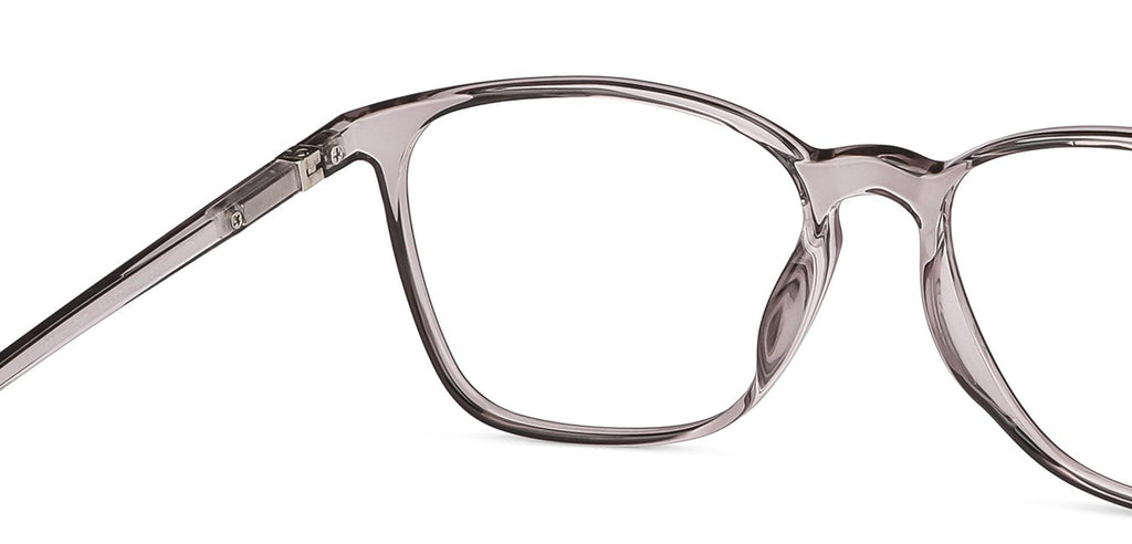 -Frame Wayfarer--EG -Frame Wayfarer--EG