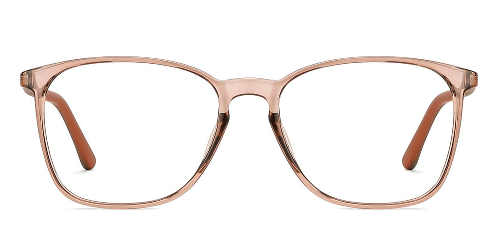 -Frame Wayfarer--EG -Frame Wayfarer--EG