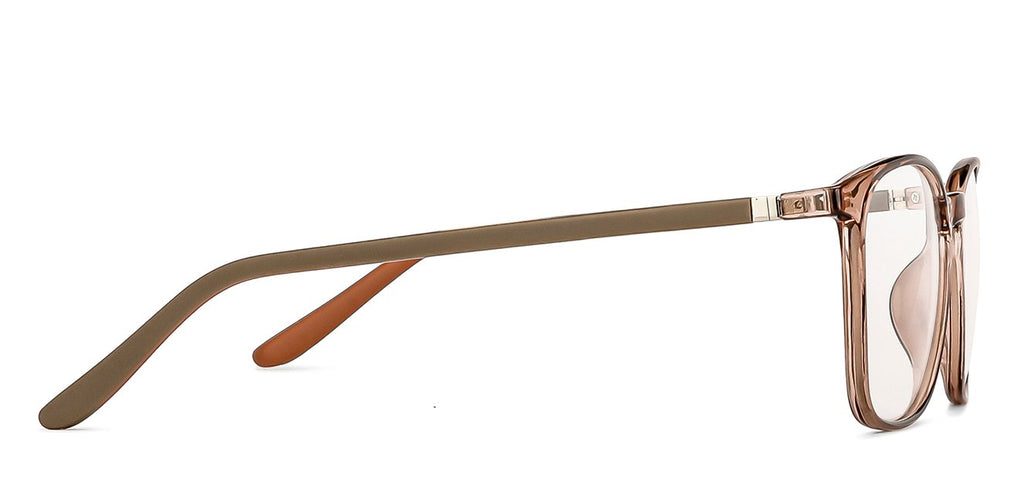 -Frame Wayfarer--EG -Frame Wayfarer--EG