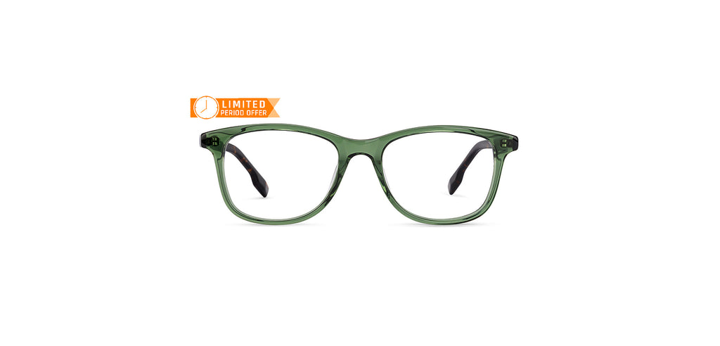-Frame Wayfarer--EG -Frame Wayfarer--EG