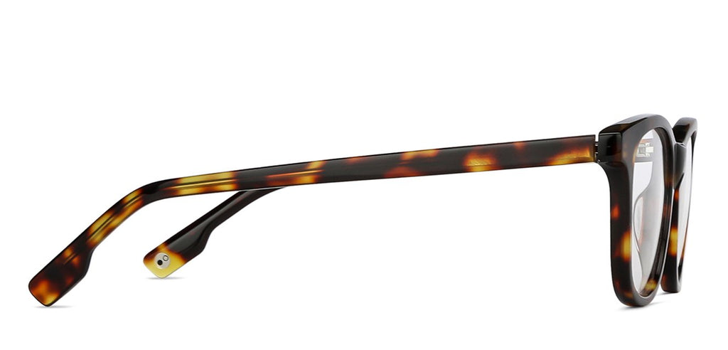 Wayfarer Eyeglasses-Frame Wayfarer--EG Wayfarer Eyeglasses-Frame Wayfarer--EG