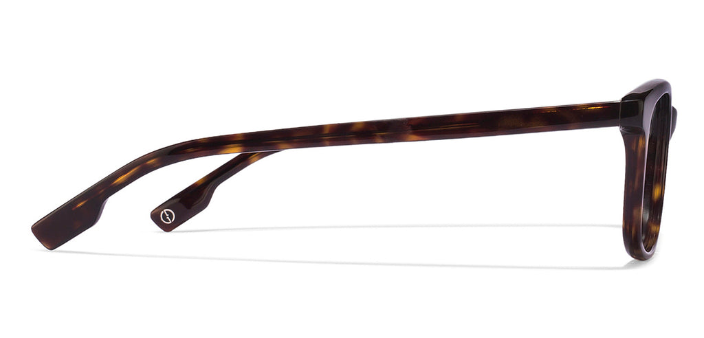 -Frame Wayfarer--EG -Frame Wayfarer--EG