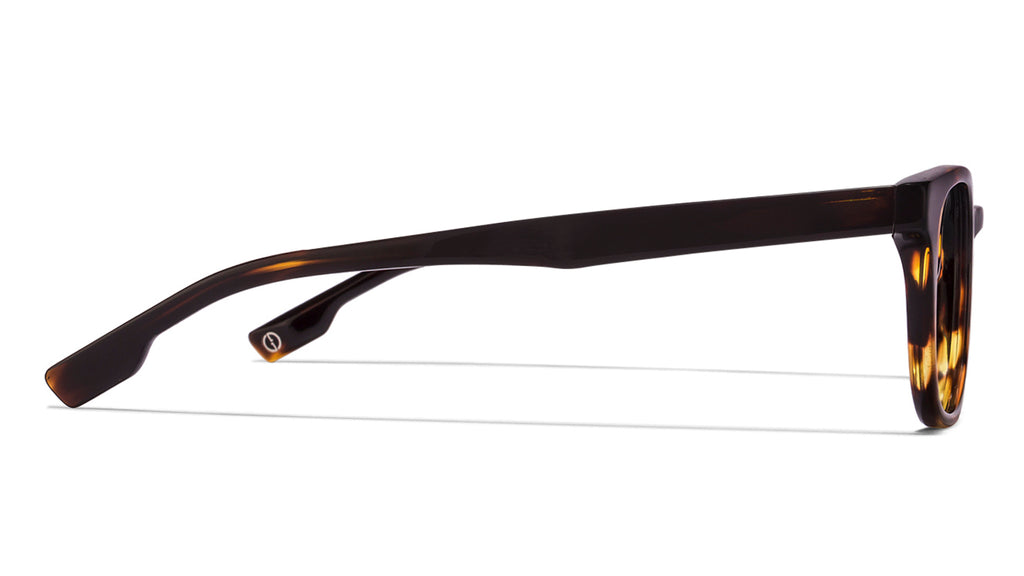 -Frame Wayfarer--EG -Frame Wayfarer--EG