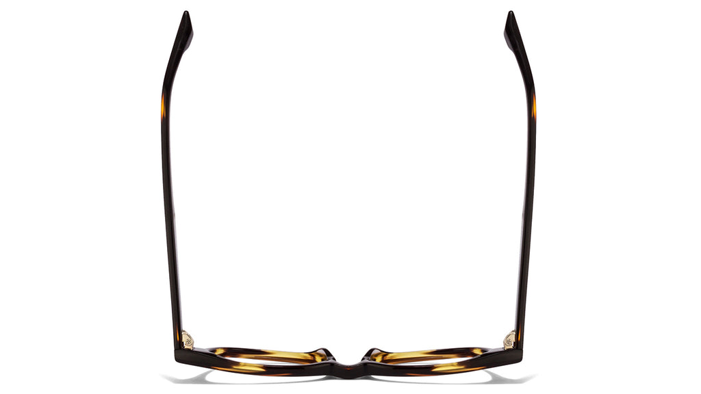 -Frame Wayfarer--EG -Frame Wayfarer--EG