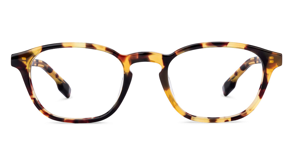 Wayfarer Eyeglasses-Frame Wayfarer--EG Wayfarer Eyeglasses-Frame Wayfarer--EG