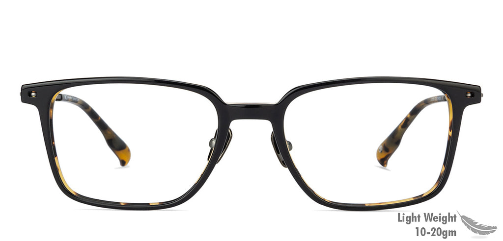 -Frame Wayfarer--EG -Frame Wayfarer--EG