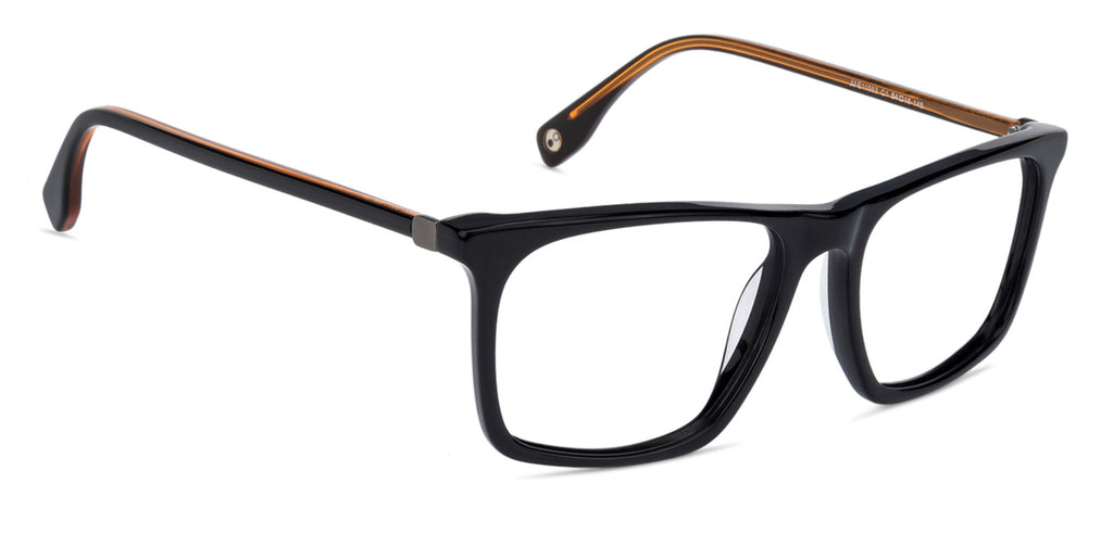 -Frame Wayfarer--EG -Frame Wayfarer--EG