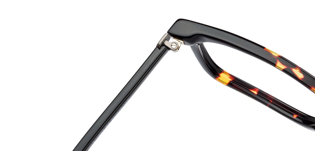 Wayfarer Eyeglasses-Frame Wayfarer--EG Wayfarer Eyeglasses-Frame Wayfarer--EG