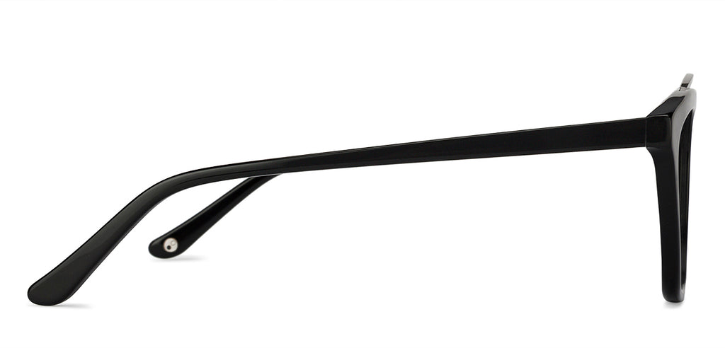 -Frame Wayfarer--EG -Frame Wayfarer--EG