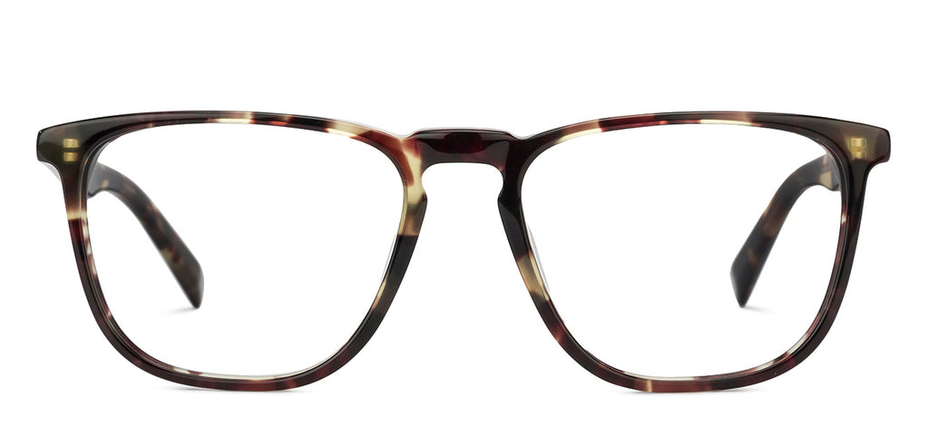 -Frame Wayfarer--EG -Frame Wayfarer--EG