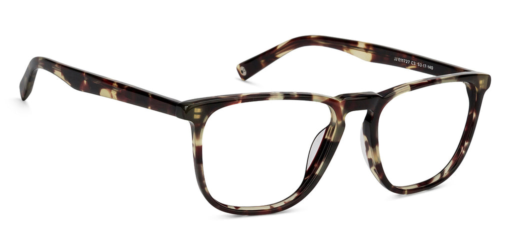 -Frame Wayfarer--EG -Frame Wayfarer--EG