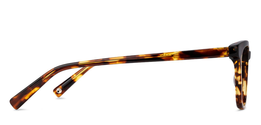 -Frame Wayfarer--EG -Frame Wayfarer--EG