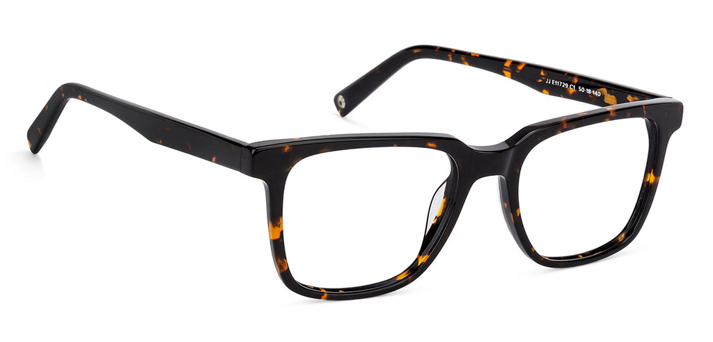 -Frame Wayfarer--EG -Frame Wayfarer--EG