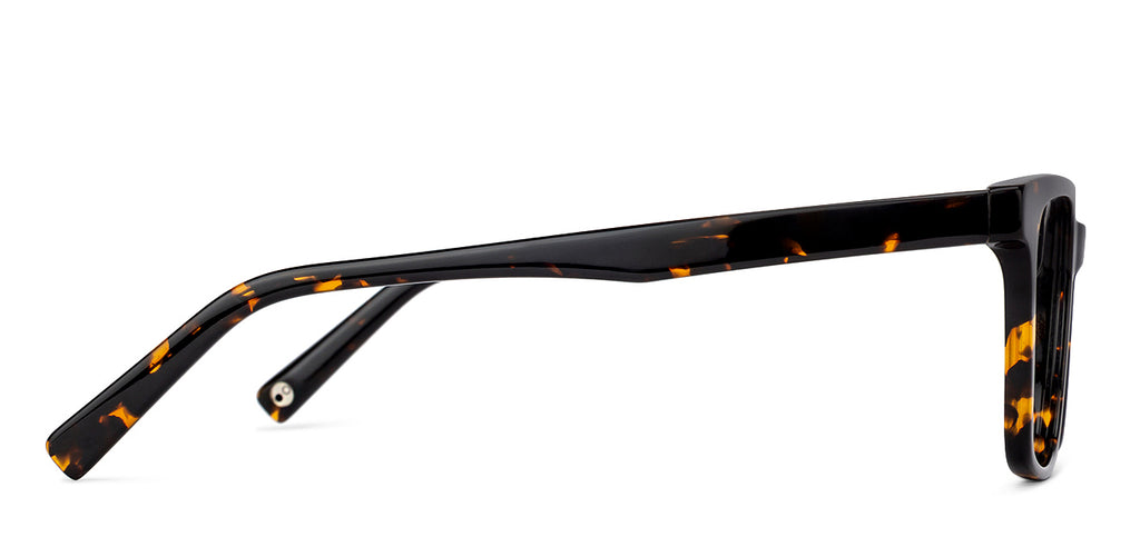 -Frame Wayfarer--EG -Frame Wayfarer--EG