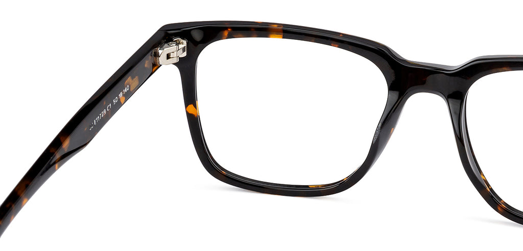 -Frame Wayfarer--EG -Frame Wayfarer--EG