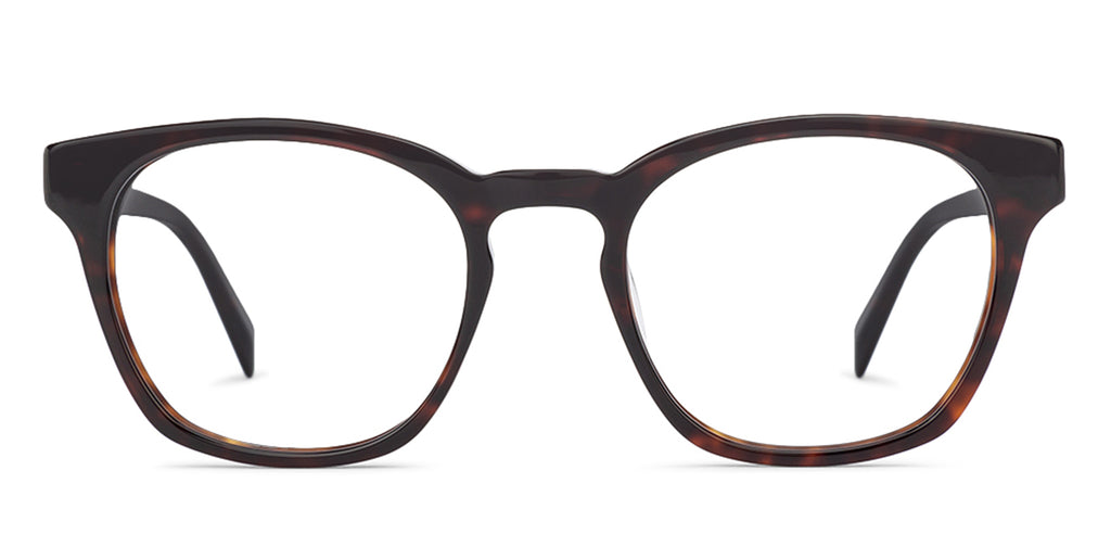 -Frame Wayfarer--EG -Frame Wayfarer--EG