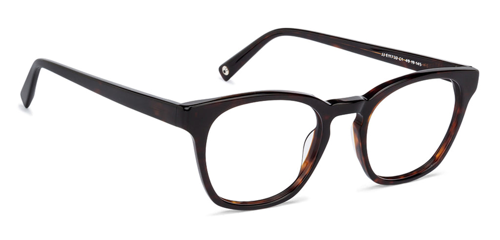 -Frame Wayfarer--EG -Frame Wayfarer--EG