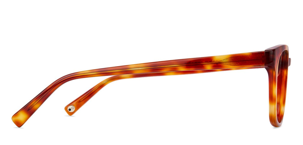 Wayfarer Eyeglasses-Frame Wayfarer--EG Wayfarer Eyeglasses-Frame Wayfarer--EG