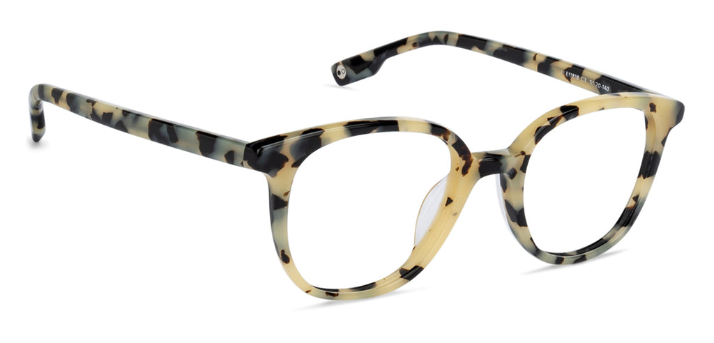 -Frame Wayfarer--EG -Frame Wayfarer--EG
