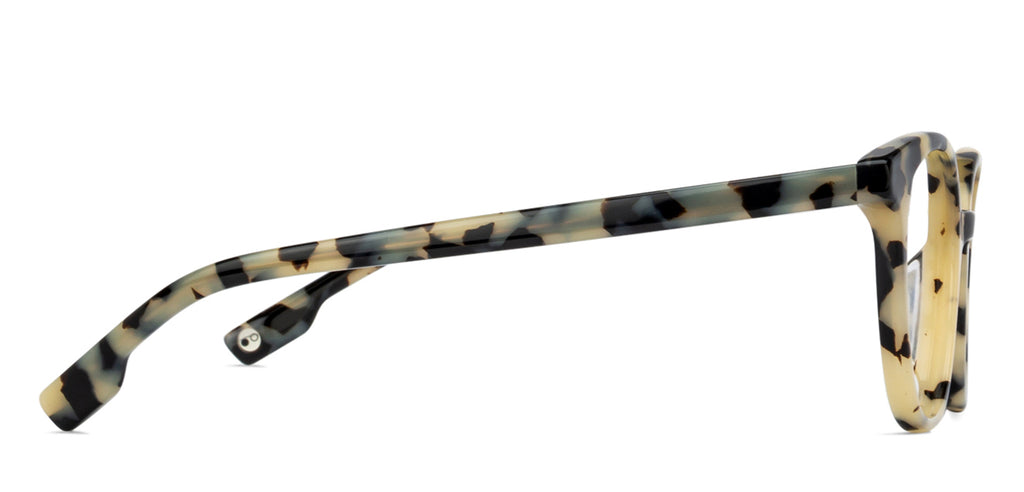 -Frame Wayfarer--EG -Frame Wayfarer--EG