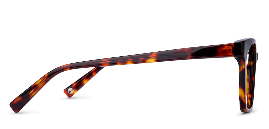 Wayfarer Eyeglasses-Frame Wayfarer--EG Wayfarer Eyeglasses-Frame Wayfarer--EG