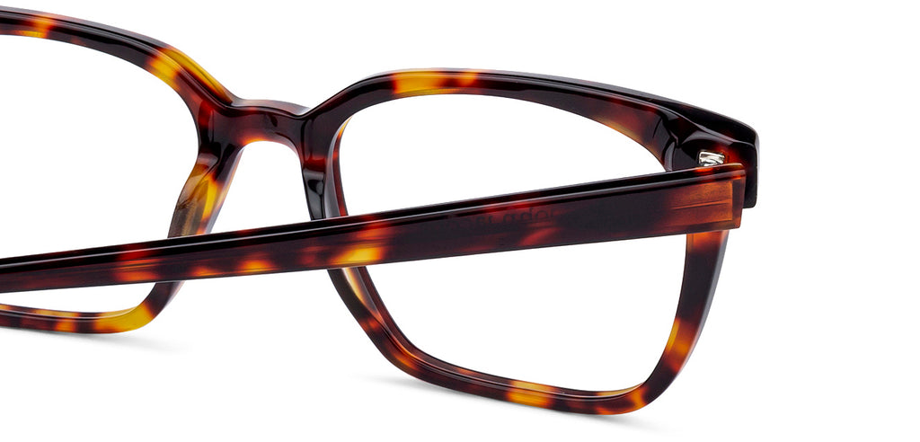 Wayfarer Eyeglasses-Frame Wayfarer--EG Wayfarer Eyeglasses-Frame Wayfarer--EG